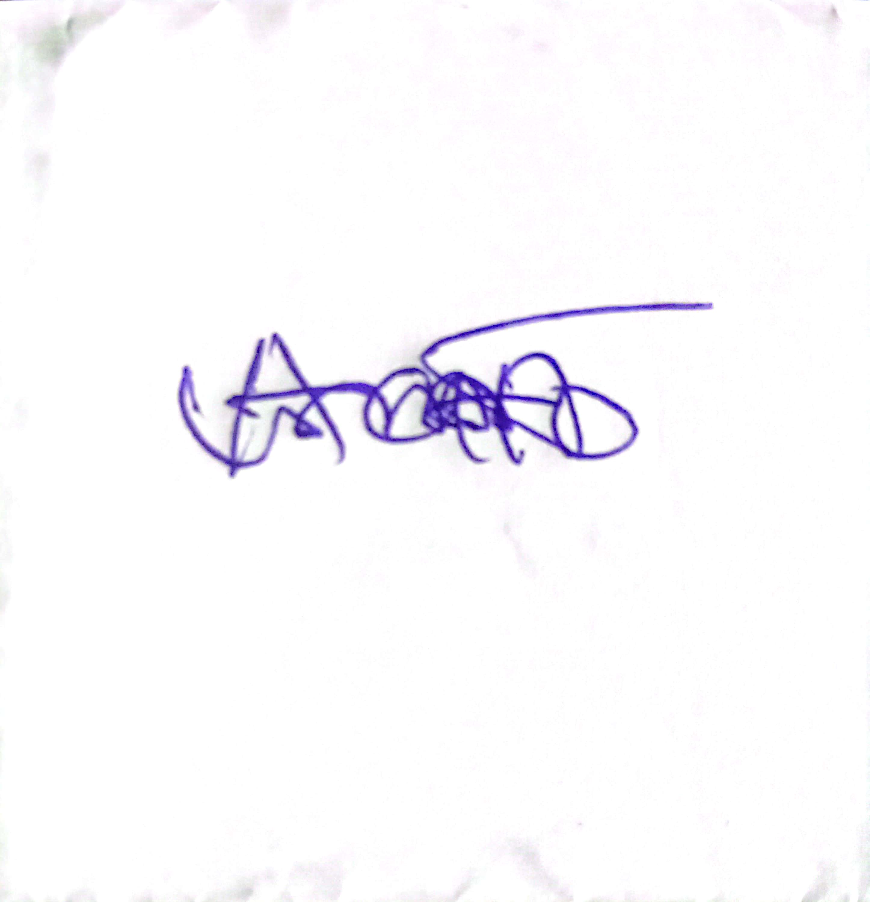 Signature